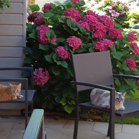 بيت ضيافة L'amphitryon Coudray (Mayenne)