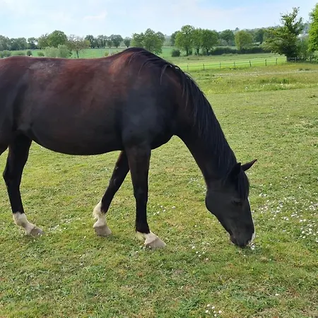 L'amphitryon Vendégház Coudray