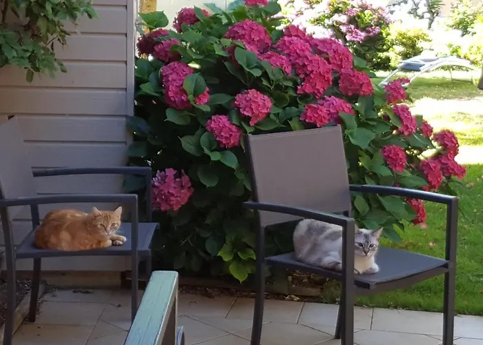 ゲストハウス L'amphitryon Coudray