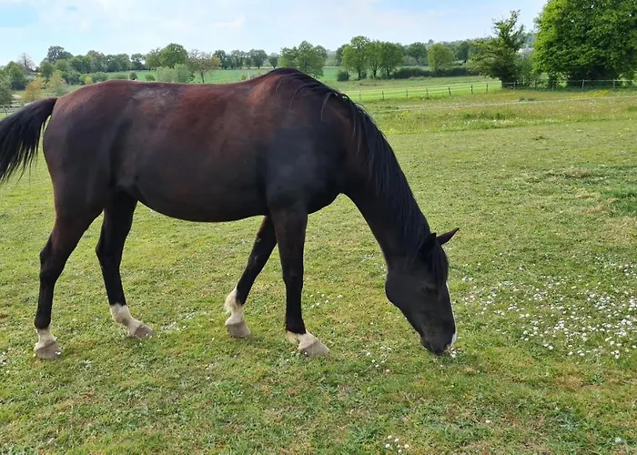 L'amphitryon ゲストハウス Coudray