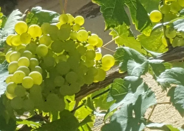 ゲストハウス L'amphitryon Coudray